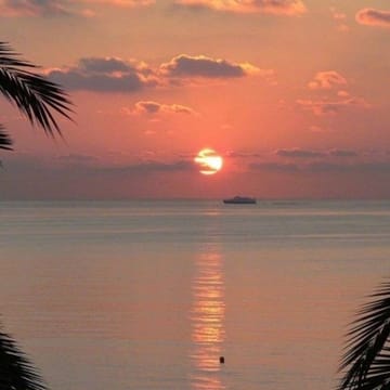 Ảnh đại diện người dùng Hoàng Lâm